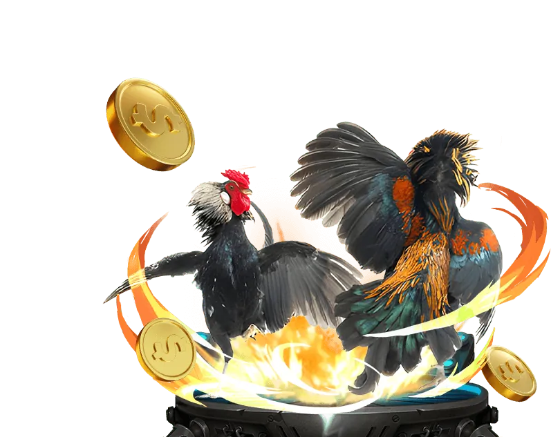 Mẹo chơi nổ hũ fcb88. top